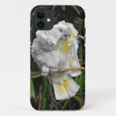 Search for cockatiel iphone cases Pet