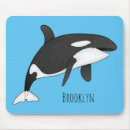 Search for orca electronics Antarctic