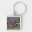 Search for tusk key rings Mammal