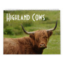 Search for calf calendars Highland