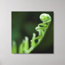 Search for growth canvas prints Plant