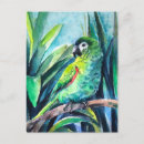 Search for macaw parrot postcards Watercolor