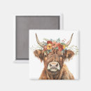 Search for bovines magnets Cattle