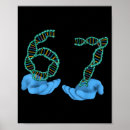 Search for tiktok posters Funny