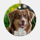 Search for australian shepherd christmas tree decorations Cute