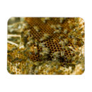 Search for bee hive magnets Honeycomb