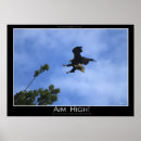 Search for aiming posters Photography