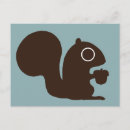 Search for nut with squirrel postcards Cute