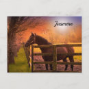 Search for paddock postcards Equine