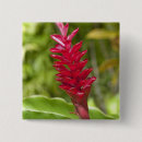 Search for fiji badges Island