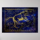 Search for ursa major posters Zodiac