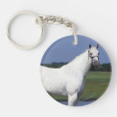 Search for appaloosas key rings Bob langrish