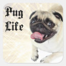 Search for pug life stickers Pugs