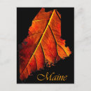 Search for maine souvenirs postcards Tourism