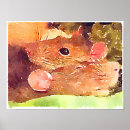 Search for rat posters Mouse