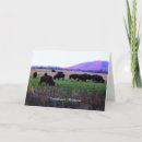 Search for digital bison cards Wild