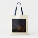 Search for danita delimont tote bags Star