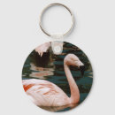 Search for wild bird key rings Tropical