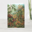 Search for tropical plants cards Ernst haeckel