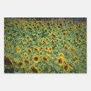 Search for merry christmas happy birthday wrapping paper Funny