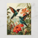 Search for flower illustrations postcards Colourful flowers