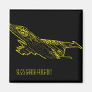 Search for planes magnets Aviation