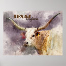 Search for longhorn posters Cattle