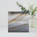 Search for dragonfly wing cards Wings