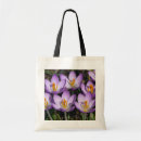 Search for spring crocus bags Nature
