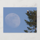 Search for ken postcards Danita delimont