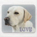 Search for lab electronics Yellow labrador