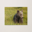 Search for grizzly bear puzzles Outdoors