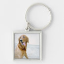 Search for bizarre key rings Domestic animals