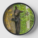 Search for danita delimont clocks Bear