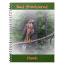 Search for red shouldered hawk Nature