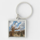 Search for the grove key rings Ie