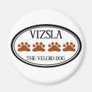 Search for vizsla magnets Puppies
