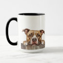 Search for english bull terrier mugs Pet