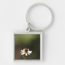 Search for wild flowers key rings Outdoors