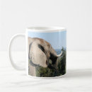 Search for wild africa mugs Elephant