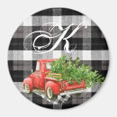 Search for buffalo magnets Truck