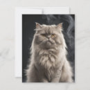 Search for dramatic pets Cat