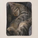 Search for tabby cat blankets Pet