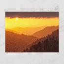 Search for smokey postcards Forest