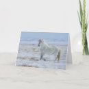 Search for mustang cards Wyoming