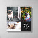 Search for pet memorials Cat