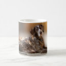 Search for pointers mugs Hunting dogs