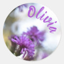 Search for photography stickers Nature