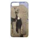 Search for amboseli national park electronics Nature