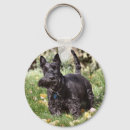 Search for scotty rounded key rings Pet
